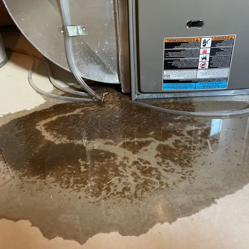 Pipe Burst and Leak Restoration in Coldstream, KY