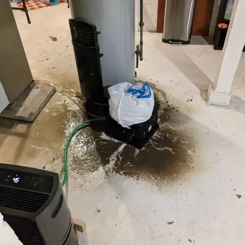Sewage Backup Cleanup Service in Coldstream, KY